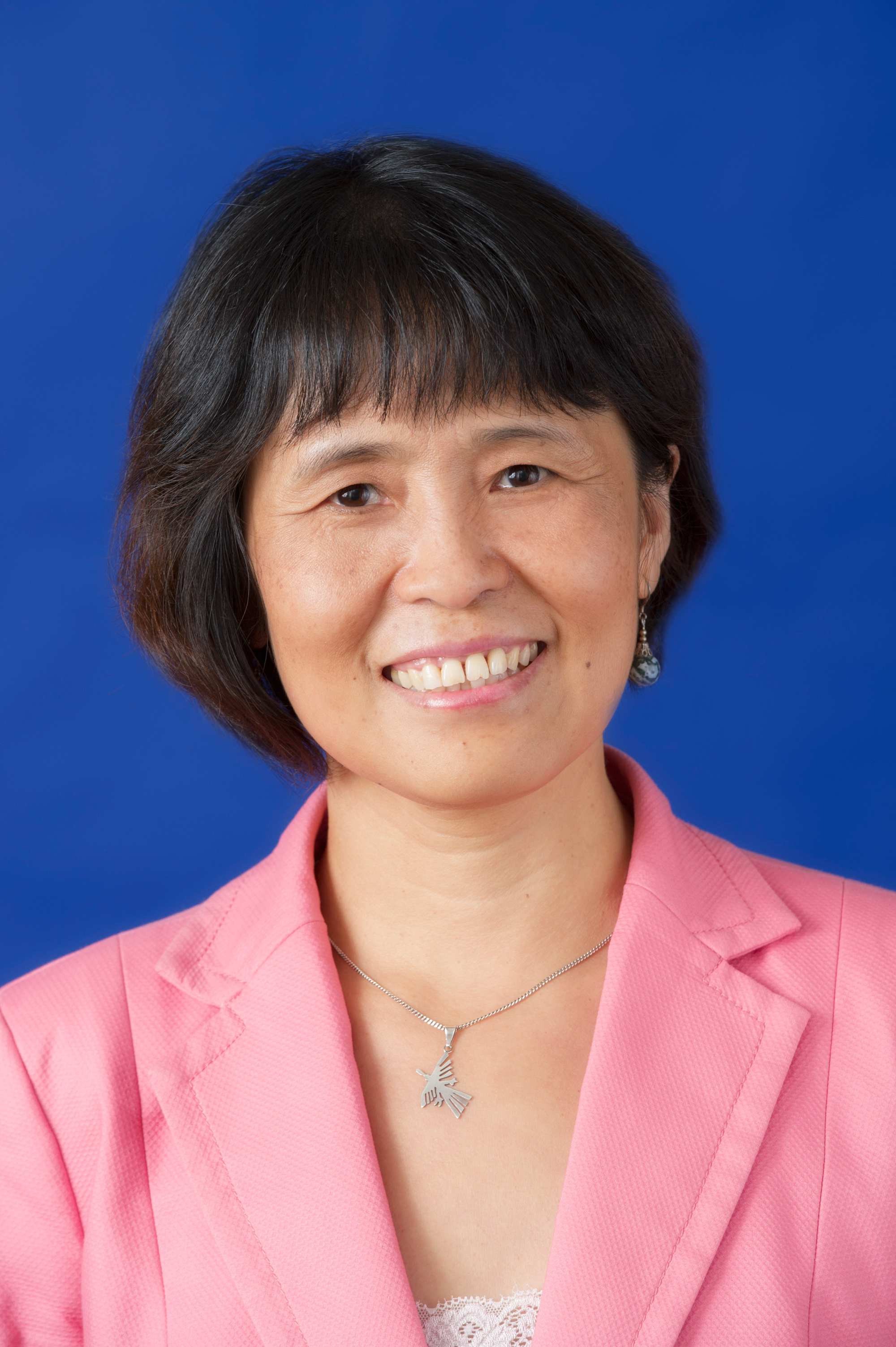 Wei Hongxia Carnegie Endowment For International Peace