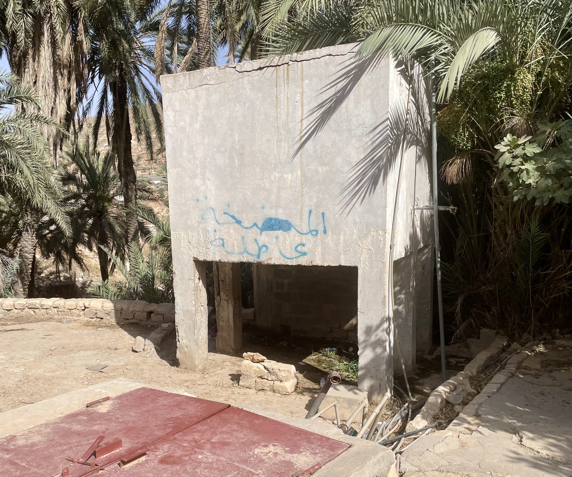 Concrete water well that looks like a big box. Surrounded by desert tree fronds
