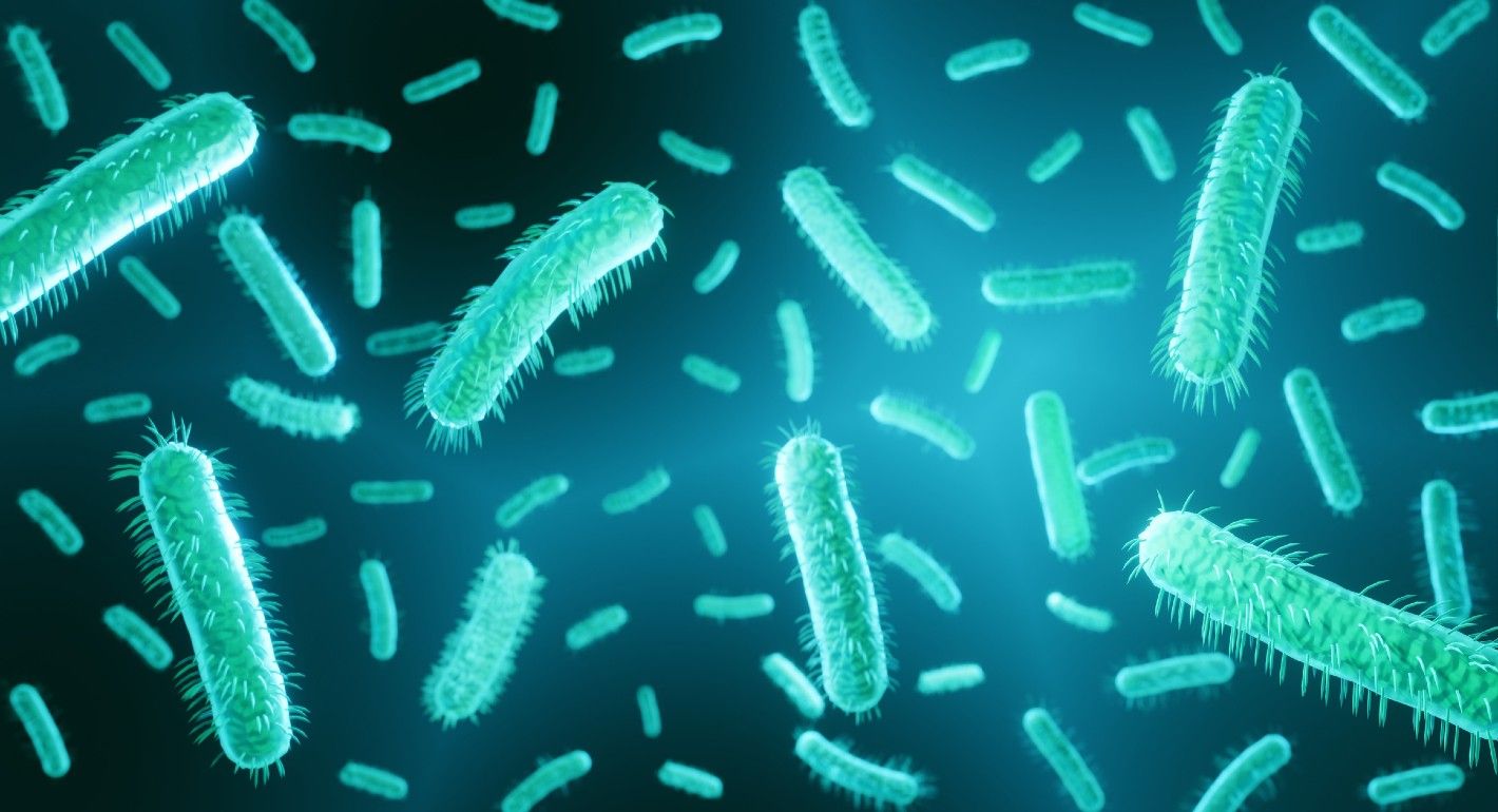E coli
